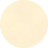 decorative orange