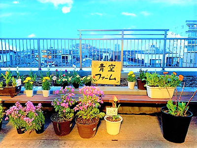 青空ファーム1